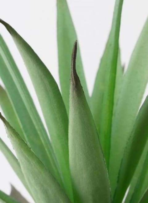 Generic Fejka Artificial Potted Plant With Pot Green/White