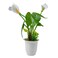 MyChoice - Artificial Calla Lily And Grass