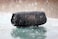 JBL Charge 5 Portable Waterproof Speaker With Powerbank, Black