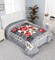 GREAT DBL BLANKET 1PLY EMB PTD DN5