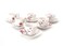 Cup and Saucer 12 Pieces Coffee Set