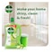 Dettol Power Floor Cleaner, Green Apple Scent, 3L