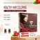 Cherry Color Cream Ammonia-Free Hair Color Cream,Lead Free Non-Toxic No Stimulation 500ml+500ml(Dark Brown)