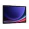 Samsung Galaxy Tab S9+ WI-FI 256GB + 12GB RAM 12.4 Inch Gray