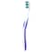 Colgate 360 Whole Mouth Clean Medium Toothbrush
