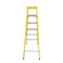 Carrefour Ladder