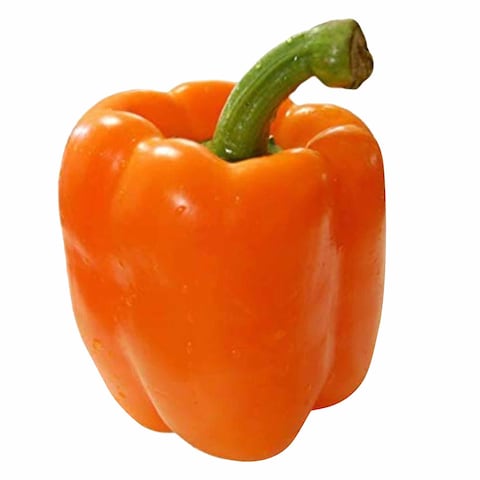 Capsicum Orange