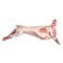 Fresh Lamb Carcass 12Kg