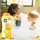 Dettol Fresh Shower Gel &amp; Body Wash, Citrus &amp; Orange Blossom Scent, 250ml x 2