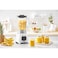 Moulinex Blender 450 Watt - LM2B3126