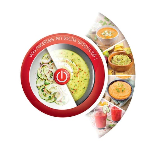 Moulinex Hand Blender Dd45A127