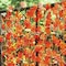 Artificial Maple Leaf Garland DIY Autumn Leaves Vine Fake Foliage Stairs Gardens Fencing Home Party Decoration(12 Strings,Each 2.2m)