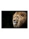 Spoil Your Wall Lion Poster With Frame Brown/Green 55x40cm