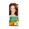Garnier Color Naturals Creme Nourishing Permanent Hair Color 6.34 Chocolate Brown