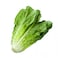 Lettuce