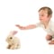 Pugs At Play Cookie Jumping Rabbit Plush Toy Beige