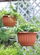 6Pc Hanging Flower Pot With Draining Hole Plastic Planter for Indoor and Outdoor Plants Terracotta 15X12cm