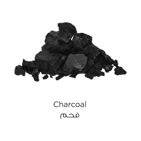 L&#39;Oreal Paris Detoxify Pure Clay Mask With Charcoal Grey 50ml