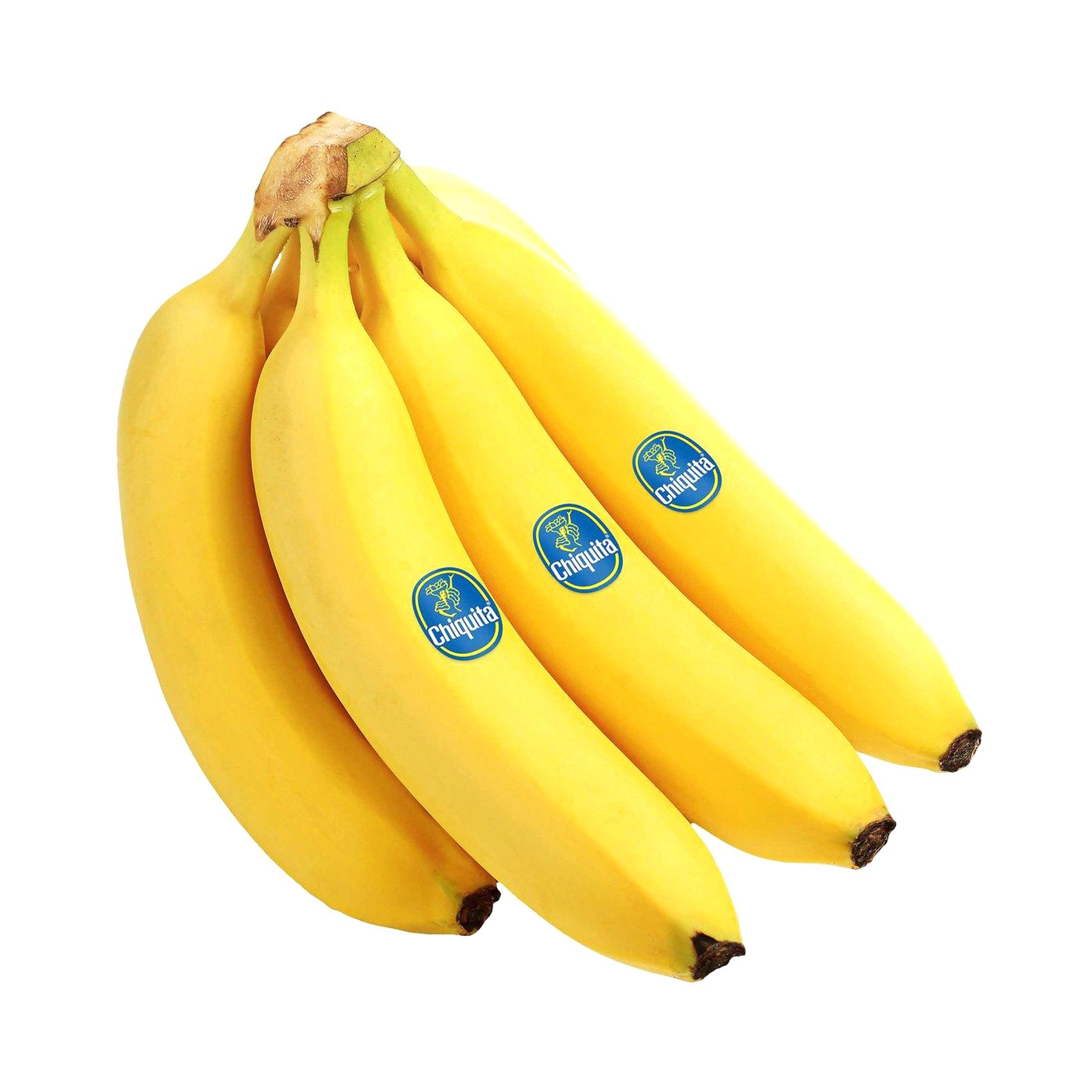 Chiquita Banana