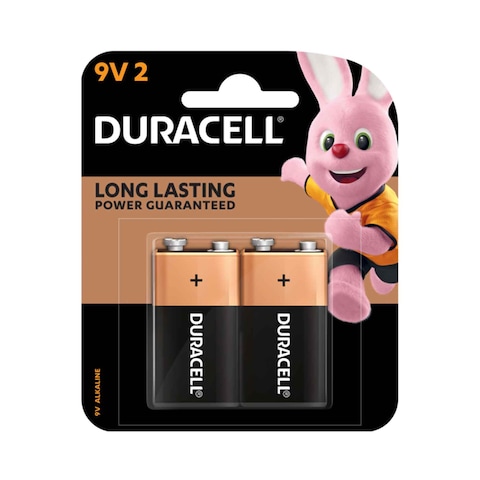 Duracell D2 Monet Duracell Type D Batteries, Pack of 2