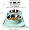 Cat Food Bowls, Cat Bowls Non-Skid and Non-Spill Silicone Mats with Stand, Removable Stainless Steel Food and Water Dishes for Cats, Small Size Dogs