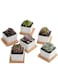 Generic 6 Pcs Geometric Succulent Planter, Set Of 6 White Ceramic Succulent Cactus Square Planter Pots With Bamboo Tray(Plants Not Included)