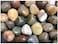 Vsell24 Indian Stone Aquarium Pebbles Natural Gravel Fish Tank Stones 2Kg