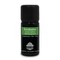 Aroma Tierra - Eucalyptus Essential Oil - Aroma Tierra - 100% Pure &amp; Natural - 10Ml