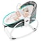 Teknum 6 - in - 1 Cozy Rocker Bassinet with Wheels, Awning &amp; Mosquito net - Green