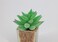 Artificial succulent bonsai-Model 10