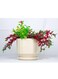 Light Yellow Round Ceramic Flower Pots for Indoor Gardening, Home, or Office D&eacute;cor-L