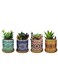 Generic 4 Pcs Succulent Plant Pots Small Modern Ceramic Indoor Planter With Bamboo Tray For Cactus Herbs Home Design 6 (Plants Not Included)