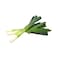 Leek