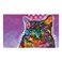 Drymate Mats for Cats 13 12 X 20 Inch/30 Cms X 50 Cms
