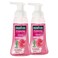 Palmolive Foaming Hand Wash Raspberry 250ml Pack of 2