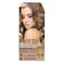 Insta Hair Color Golden Ash Blonde C7.31