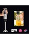 Sanford Hand Blender, 800W, Black - SF5511BR