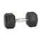 Dumbbell - 15 Kg