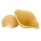 Pasta Shell