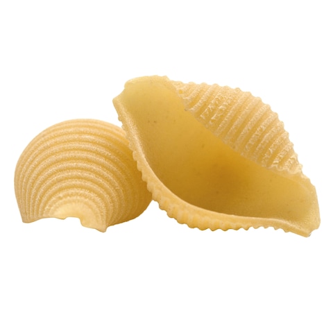 Pasta Shell