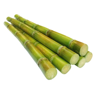 Sugar Cane Stick