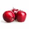 Red Apple USA