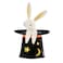 Bunny In Hat Shaped Plates
