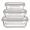 Ikoo Glass Rectangle Borosilicate Glass Food Container Set with Lid 3 PCS