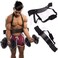Max Strength Chrome Olympic Dumbbell Bar Gym Workout Weightlifting Bars Dumbell 2 Pcs With Spring Locks Plus Weightlifting Arm Blaster Adjustable Bodybuilding Bomber Bicep