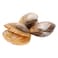 Clams Shell Per Kg