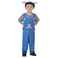 Toddler Country Piggy Costume T2