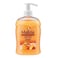 Malizia Liquid Soap Yoghurt  And Peach 500ML