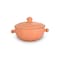 ARK Cooking Pot with mud Handle L