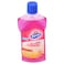 Kiwi Kleen Surface Cleaner 500ml